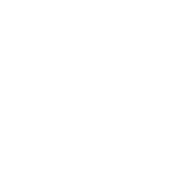 telephone icon